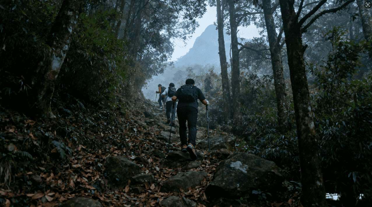 可靠稳定的旋风加速器安卓app免费下载与使用技巧